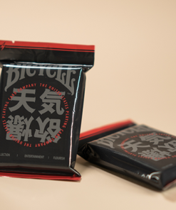 Bicycle Chilly Weather Blind Pack (Single Pack) Playing Cards