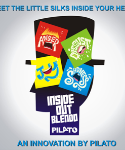 Inside Out Blendo by Pilato