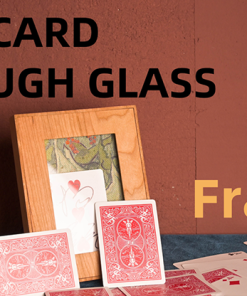 Real Card Through Glass (Frame) by Yang Lei