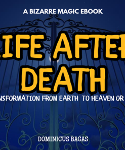 Life After Death by Dominicus Bagas eBook DOWNLOAD