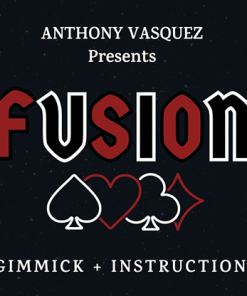 Fusion (Red) by Anthony Vasquez