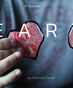 Hearts by Patricio Teran video DOWNLOAD