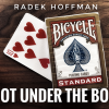 Not Under the Box by Radek Hoffman video DOWNLOAD Not Under the Box by Radek Hoffman video DOWNLOAD