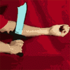 Arm Slicing Scimitar Trick