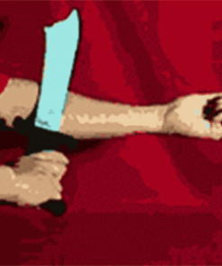 Arm Slicing Scimitar Trick