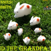 The Bunnies! 3D Rabbits (Parents, Kids & Grandpa)