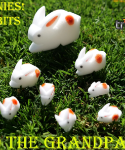 The Bunnies! 3D Rabbits (Parents, Kids & Grandpa)