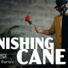 Vanishing Cane (Stage) by Bojan Barisic and Stage Elegance Vanishing Cane (Stage) by Bojan Barisic and Stage Elegance
