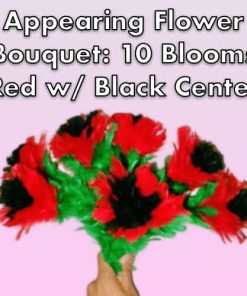 Appearing Flower Bouquet: 10 Blooms, Red with Black Centers