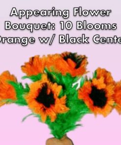 Appearing Flower Bouquet: 10 Blooms, Orange with Black Centers