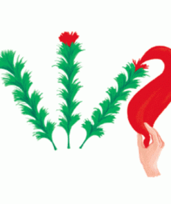 Blooming Flower To Silk
