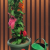 Goofus Plant ESTATE Goofus Plant ESTATE