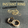 Instant Ring (silver/gold, Size 11) by Viktor Voitko Instant Ring (silver/gold, Size 11) by Viktor Voitko