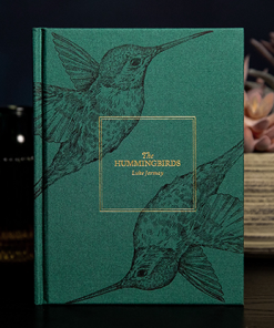 The Hummingbirds by Luke Jermay