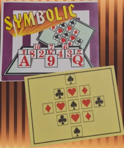 Symbolic by Peter Duffie