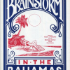 OOP The Magic Hedonists' Brainstorm in the Bahamas (book) - Adam Fleischer