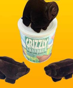 Grizzly Bear Beanbags - Juggling