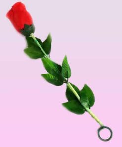 Silk to Rose Plus