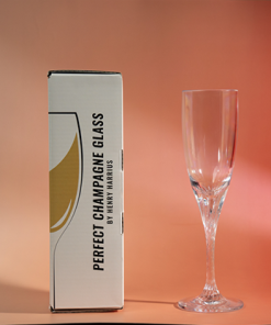 Perfect Champagne Glass by Henry Harrius