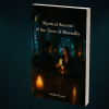 Echo Book Test by Vincent Hedan (Tarot de Marseille)