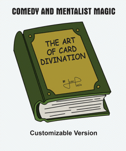 The Art of Card Divination by Juan Pablo (Universal)