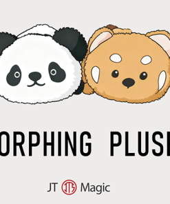Morphing Plush (Panda to Raccoon) by Jackie Zhao and JT Magic