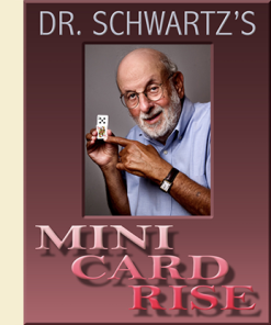 Mini Card Rise by Martin Schwartz
