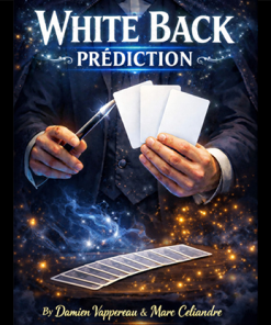 White Back Prediction by Damien Vappereau and Marc Céliandre (Blue)