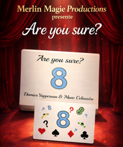 Are You Sure? by Damien Vappereau and Marc Céliandre