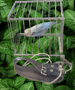 Challenge Cage Mystery (Vanishing Bird Cage) - Owen ESTATE Challenge Cage Mystery (Vanishing Bird Cage) - Owen ESTATE