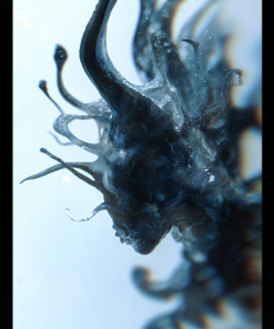 Progeny by Fraser Parker Progeny by Fraser Parker