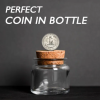 Perfect Coin In Bottle