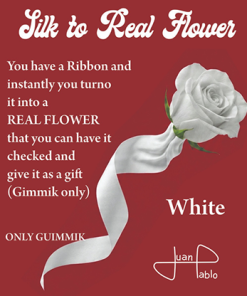 Silk to Real Flower (White) by Juan Pablo