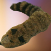 Rocky Raccoon - Magic Masters          ESTATE