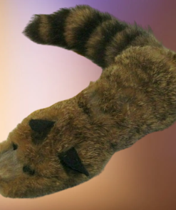 Rocky Raccoon - Magic Masters          ESTATE