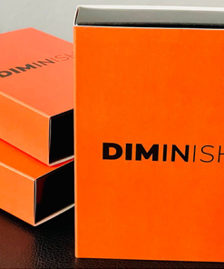 Diminish by Damian Surr