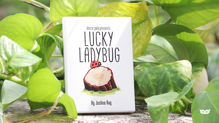 Lucky Ladybug (Leaf) by Joshua Ray & Deuce Gala Magic Lucky Ladybug (Leaf) by Joshua Ray & Deuce Gala Magic