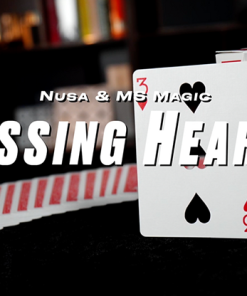 Missing Hearts (Blue) by Nusa & MS Magic